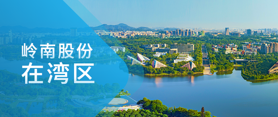 WM视讯股份在湾区