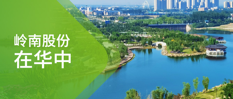 WM视讯股份在华中