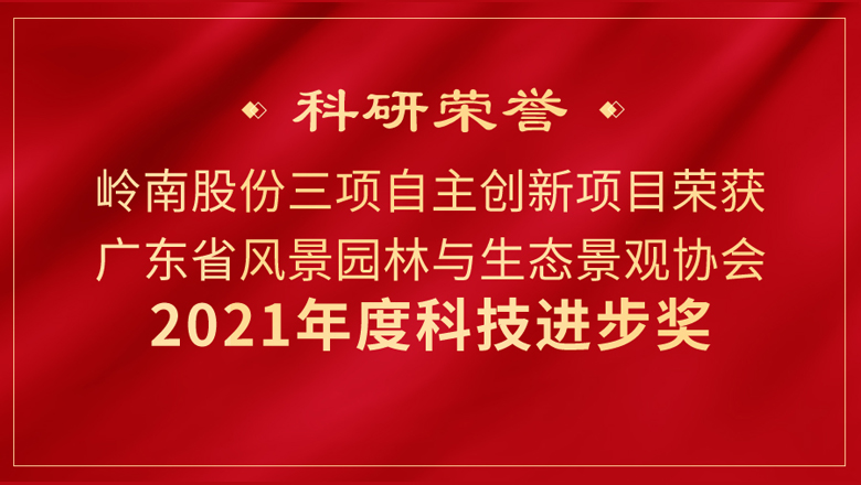创新创效！WM视讯股份3项科研成果又获奖！