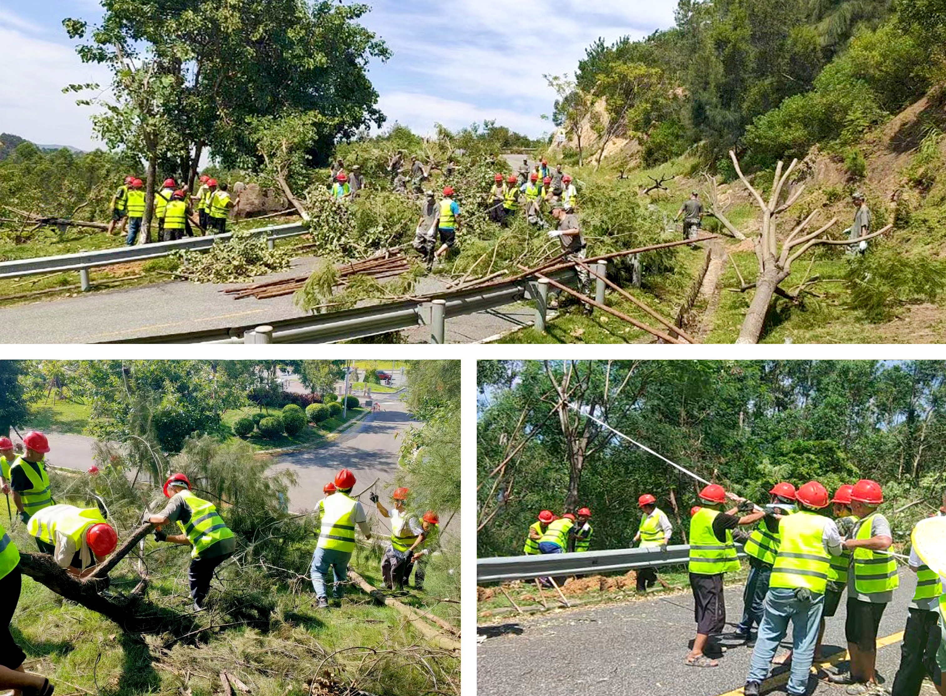 WM视讯股份收到一封来自泉州的感谢信！